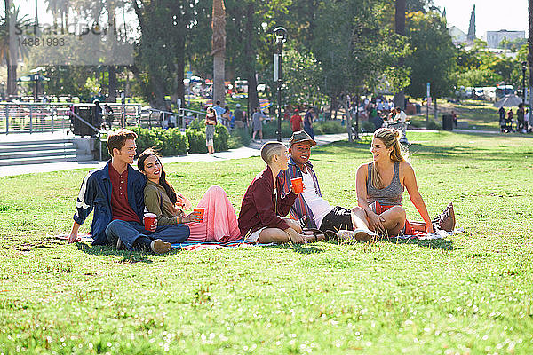 Fünf junge erwachsene Freunde sitzen im Park  Los Angeles  Kalifornien  USA