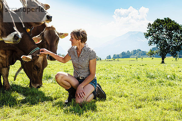 Frau verbindet sich mit Kuhherde auf dem Feld  Sonthofen  Bayern  Deutschland