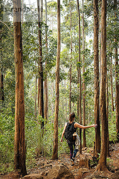 Wanderer erkundet Wald  Ella  Uva  Sri Lanka