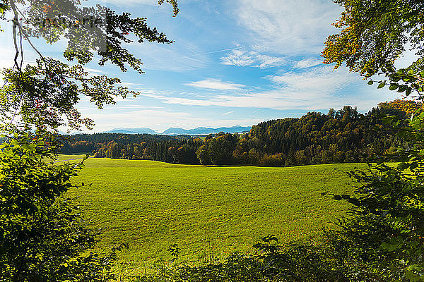 Feldlandschaft mit fernen Wäldern und Bergen  Bayern  Deutschland