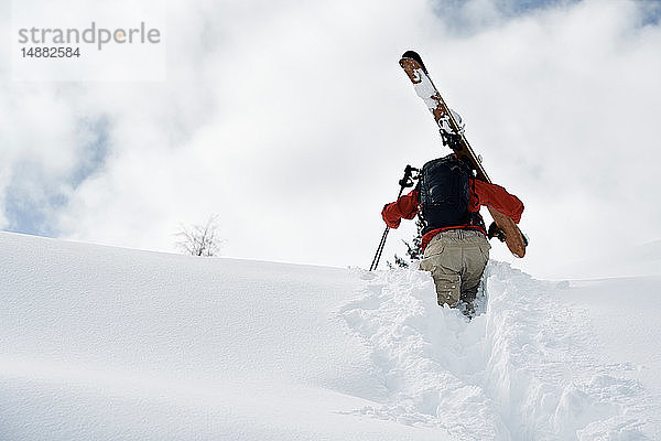 Männlicher Skifahrer stapft einen schneebedeckten Berg hinauf  Rückansicht  Alpe-d'Huez  Rhône-Alpes  Frankreich