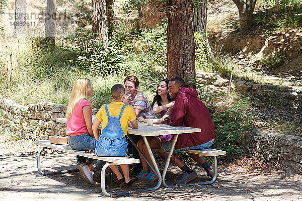 Fünf junge erwachsene Freunde unterhalten sich am Picknicktisch im Park  Los Angeles  Kalifornien  USA