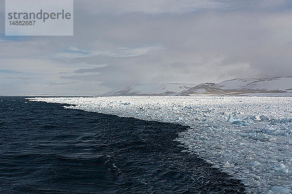 Arktischer Ozean und küstennahes Eis  Wahlenberg Fjord  Nordaustlandet  Svalbard  Norwegen