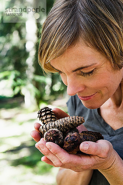 Frau mit einer Handvoll Kiefernzapfen im Wald