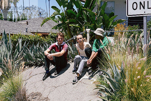Drei junge erwachsene Freunde sitzen im Park und unterhalten sich  Los Angeles  Kalifornien  USA