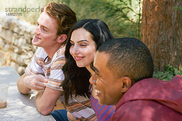 Drei junge erwachsene Freunde unterhalten sich am Picknicktisch im Park  Los Angeles  Kalifornien  USA