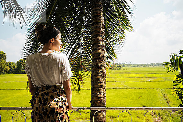 Frau blickt über Paddy Fields  Anuradhapura  Sri Lanka