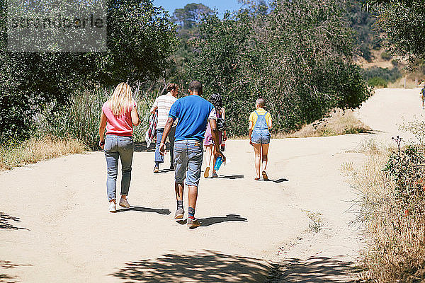 Fünf junge erwachsene Freunde gehen im Park spazieren  Rückansicht  Los Angeles  Kalifornien  USA