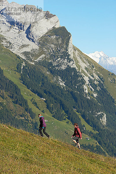 Wanderer beim Bergwandern  Manigod  Rhône-Alpes  Frankreich