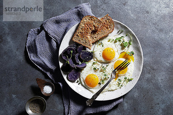 Frühstücksteller mit Eiern und Toast  Draufsicht
