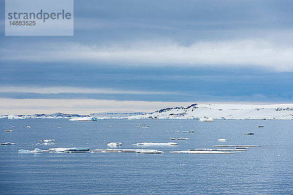 Arktisches Meereis in Küstennähe  Vibebukta  Austfonna  Nordaustlandet  Svalbard  Norwegen