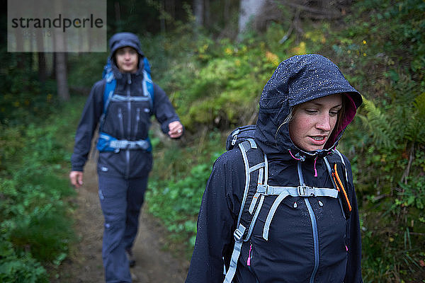 Junges Wanderpaar wandert bei Regen in Kapuzenanoraks durch den Wald  Manigod  Rhône-Alpes  Frankreich