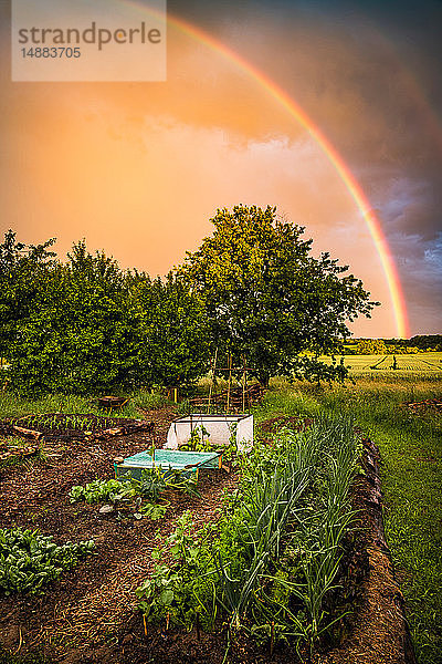 Regenbogen über der Kleingartenanlage