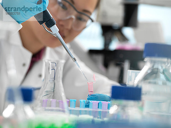 Wissenschaftler pipettiert während eines genetischen Experiments im Labor Probe in ein Fläschchen