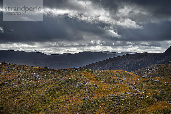 Männlicher Mountainbiker auf Feldweg in Berglandschaft  Rückansicht  Achnasheen  Schottische Highlands  Schottland
