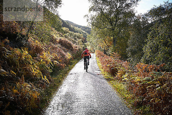 Männlicher Mountainbiker auf ländlicher Straße  Rückansicht  Achnasheen  Schottische Highlands  Schottland