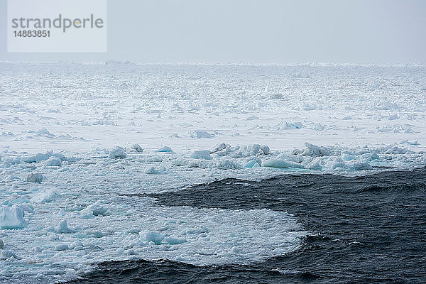 Küstennahes Eis und nebliger Horizont  Wahlenberg-Fjord  Nordaustlandet  Svalbard  Norwegen.