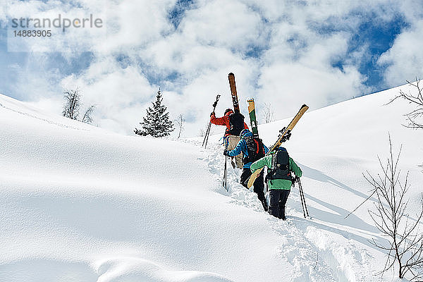 Männliche Skifahrer stapfen den schneebedeckten Berg hinauf  Rückansicht  Alpe-d'Huez  Rhône-Alpes  Frankreich
