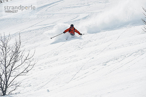 Männlicher Skifahrer beim Abfahrtslauf  Alpe-d'Huez  Rhône-Alpes  Frankreich