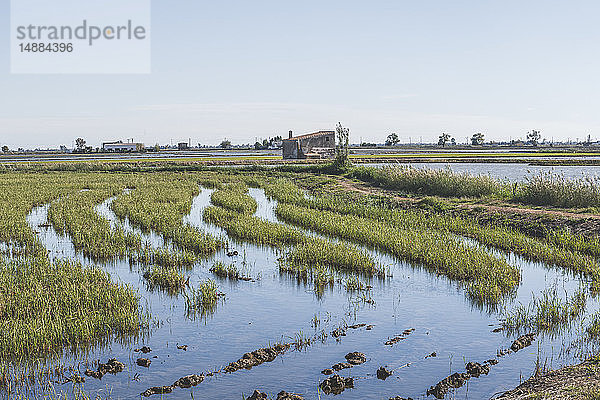 Spanien  Ebro-Delta  Blick auf Reisfelder