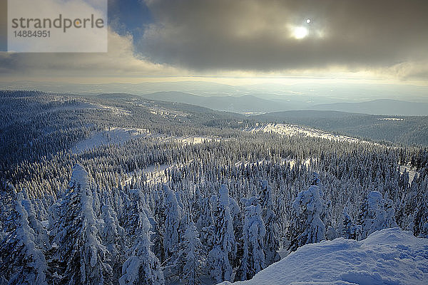 Deutschland  Bayern  Bayerischer Wald im Winter  Grosser Arber  Blick über die Winterlandschaft