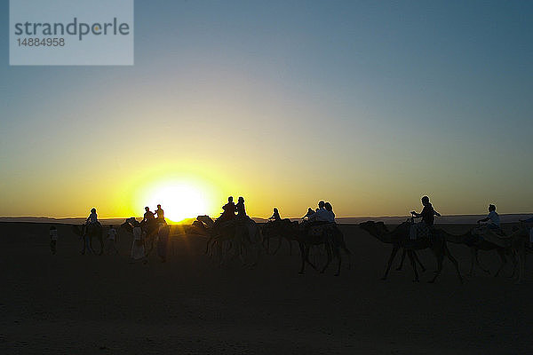 Marokko  Menschen auf Kamelen bei Sonnenuntergang