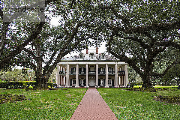 USA  Louisiana  Eichenbäume  Allee und Nottoway-Plantagenhaus