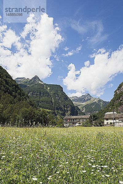 Schweiz  Tessin  Dorf Sonogno  Alpweide