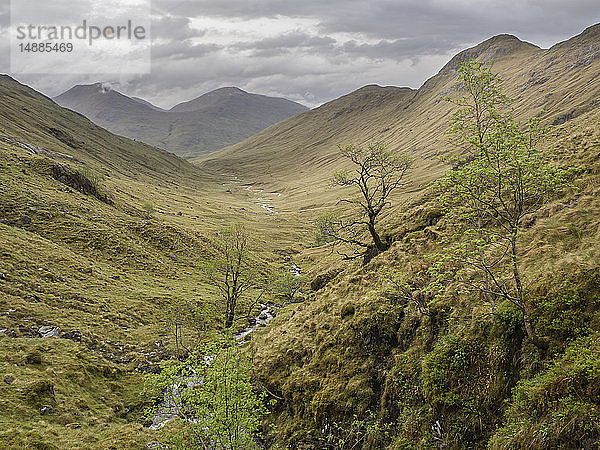 Großbritannien  Schottland  Nordwestliche Highlands bei Glenfinnan