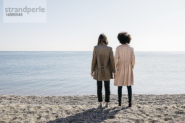 Rückansicht von zwei Freunden  die am Strand stehen und auf das Meer schauen