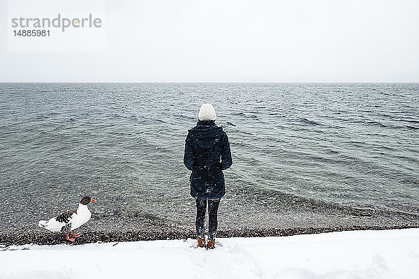 Graugans und junge Frau im Winter am Starnberger See