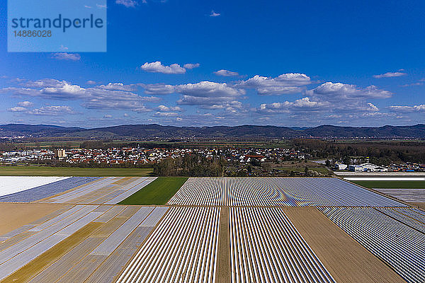 Deutschland  Hessen  Luftaufnahme eines Spargelfeldes mit weißer Fläche