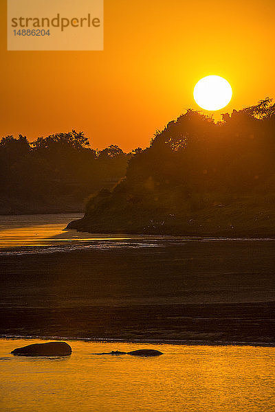 Sambia  South Luangwa National Park  Flusspferde bei Sonnenaufgang