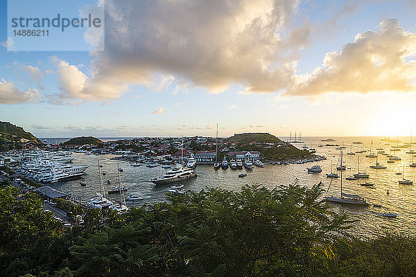 Karibik  Kleine Antillen  St. Barthelemy  Gustavia  Hafen mit Luxusyachten bei Sonnenuntergang