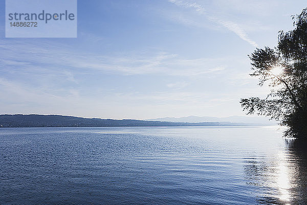 Schweiz  Kanton Zürich  Zürichsee  Region Richterswil  Blick Richtung Raperswil