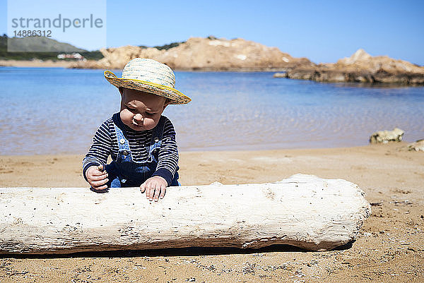 Spanien  Menorca  Kleinkind spielt mit Totholz am Strand