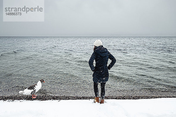 Graugans und junge Frau im Winter am Starnberger See