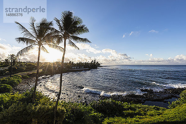 USA Pazifischer Ozean  Hawaii  Kauai  Poipu  Hoai Bay  Palmen bei Sonnenaufgang