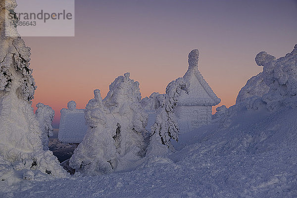 Deutschland  Bayern  Bayerischer Wald im Winter  Grosser Arber  schneebedeckte Arberkapelle