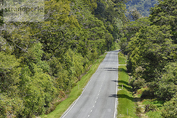 Haast Pass   Straße durch den Regenwald  Südliche Alpen  Otago-Region  Südinsel  Neuseeland