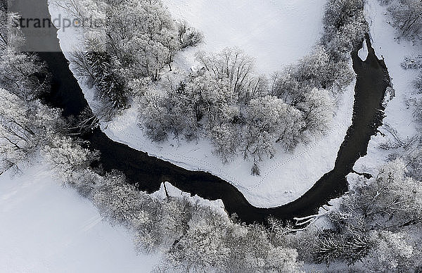 Baum am Fluss Loisach  Luftaufnahme der Flussschleife im Winter