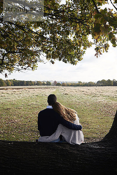 Rückansicht eines Paares  das sich auf einem Baumstamm in einem Park umarmt