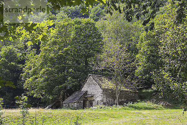 Schweiz  Tessin  Verzascatal  typische historische Steinhäuser