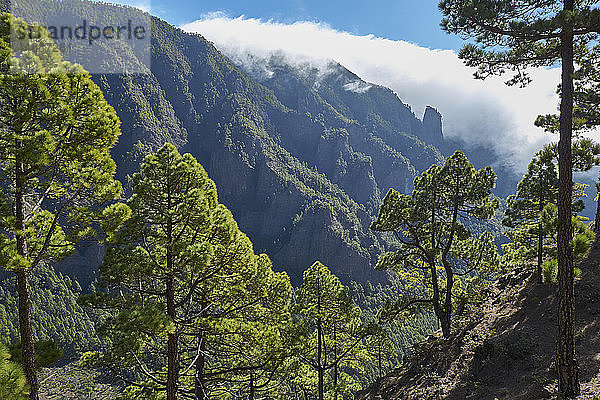 Spanien  Kanarische Inseln  La Palma