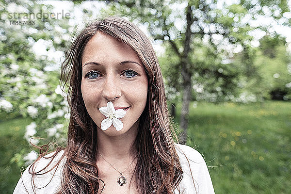 Porträt einer lächelnden jungen Frau mit Apfelblüte im Mund