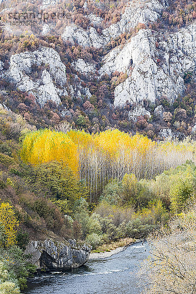 Wunderschöne Herbstfarben in der Iskar-Schlucht  Bulgarien