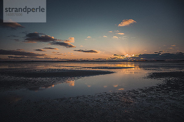 Deutschland  Sylt  Nationalpark Schleswig-Holsteinisches Wattenmeer  List  Ellenbogen  Sonnenuntergang Abendlicht