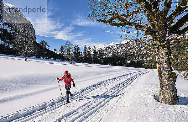 Österreich  Tirol  Risstal  Karwendel  Langläufer in Winterlandschaft