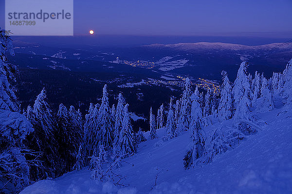 Deutschland  Bayern  Bayerischer Wald im Winter  Großer Arber  Arbermandl  schneebedeckte Fichten in der Abenddämmerung mit Mond
