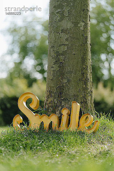 Lächelndes Zeichen am Baumstamm gelehnt